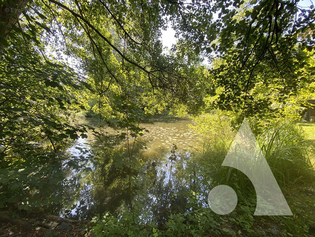 A vendre etang gilocourt 3 040m² - photo 4