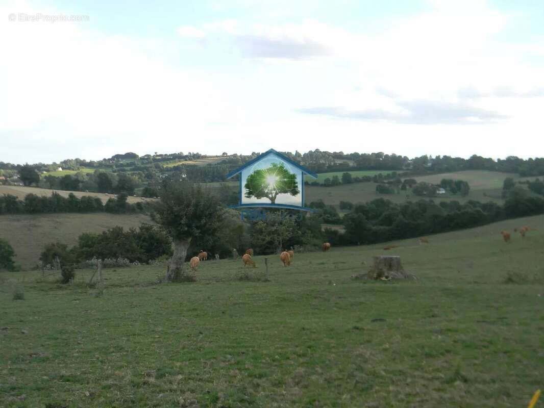 Terrain à NEUFCHATEL-EN-BRAY