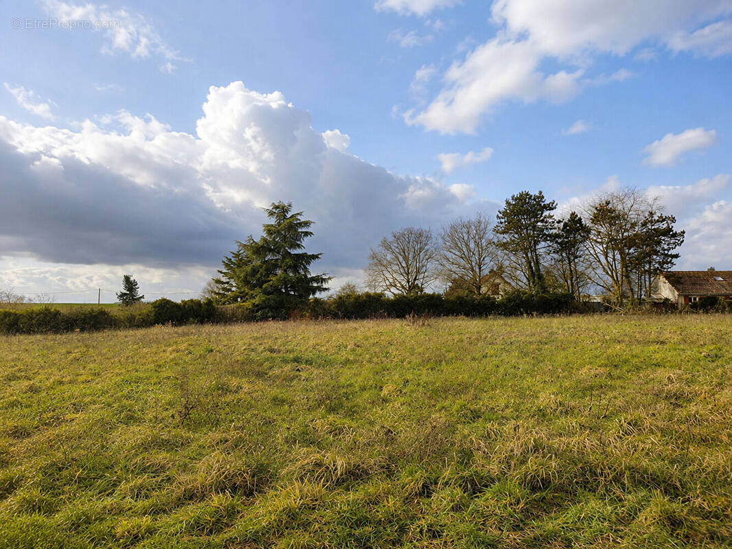 Terrain à TREMBLAY-LES-VILLAGES