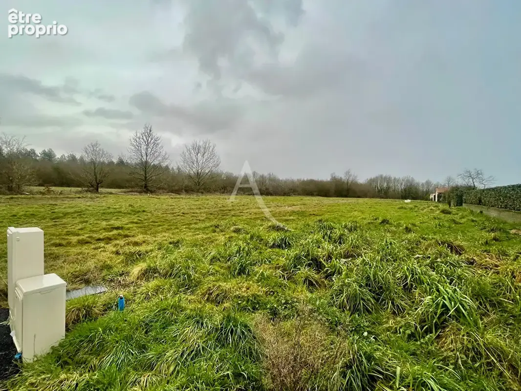 Terrain à LA MARNE