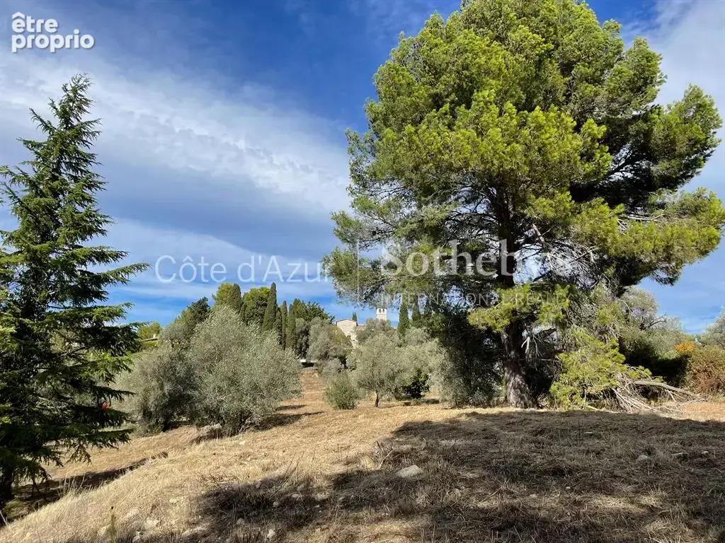 Projet de 3 villas contemporaines sur 35 233 m² - photo 13