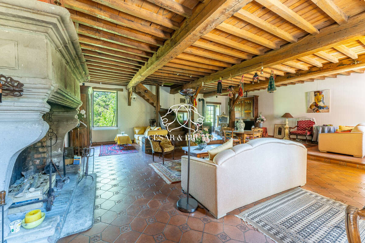 Maison 7 pièces 218 m² à vendre à Maubec (38300) - photo 3