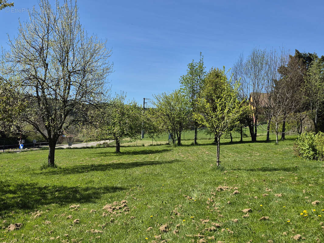 Terrain à COLROY-LA-ROCHE