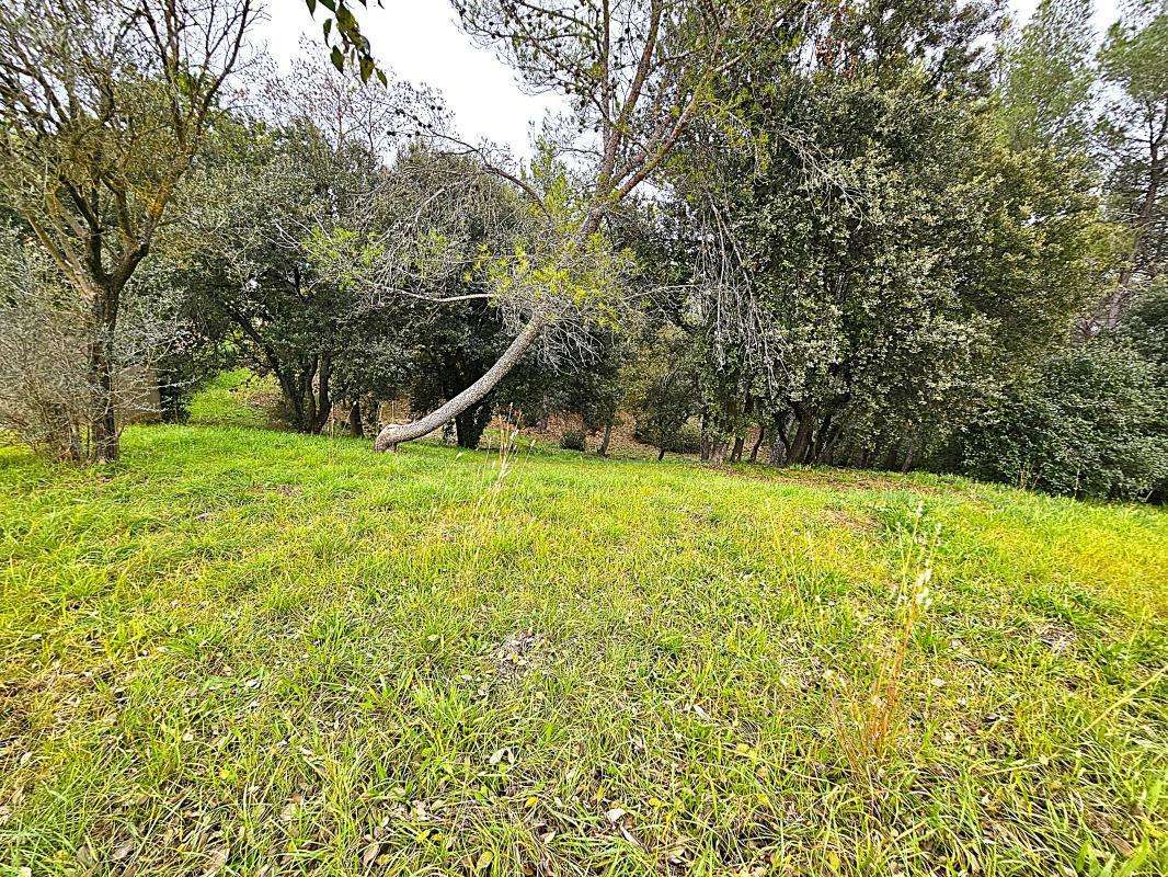 Terrain à SAINT-CLEMENT-DE-RIVIERE