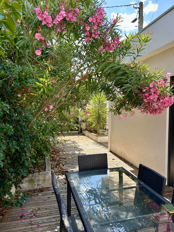 Maison à MONTPELLIER