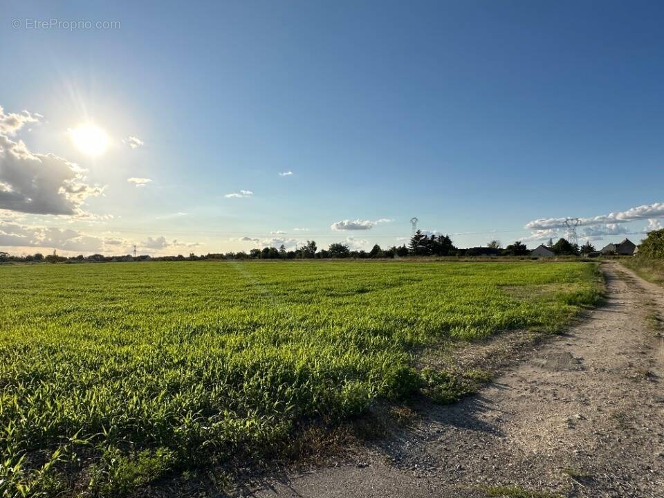 Terrain à CINQ-MARS-LA-PILE