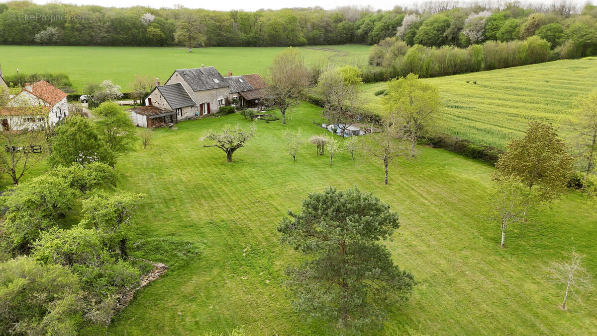Propriété avec deux maisons et un gîte sur 7000m2 de jardin - photo 2