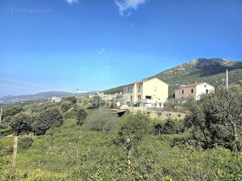Maison à MORSIGLIA