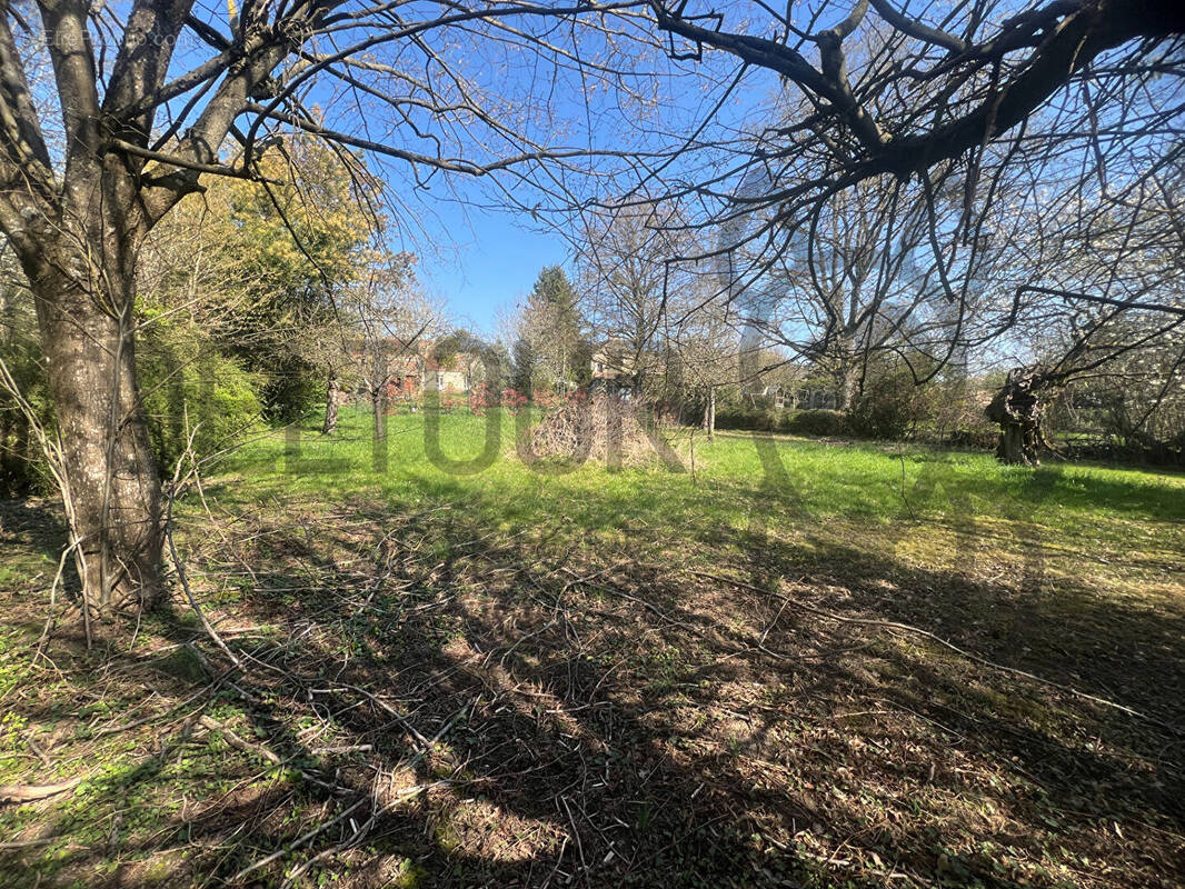 Terrain à BOISSY-LE-CHATEL