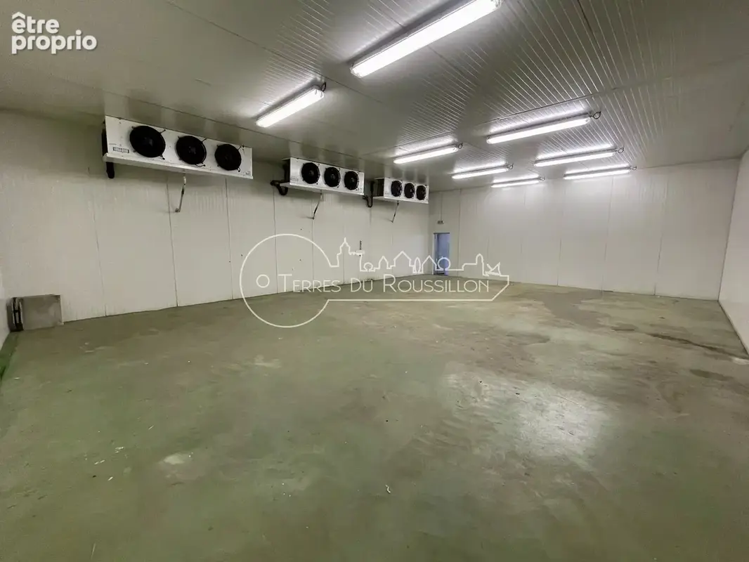 Entrepot spacieux 1531 m2 avec chambres froides polygone nord - photo 10