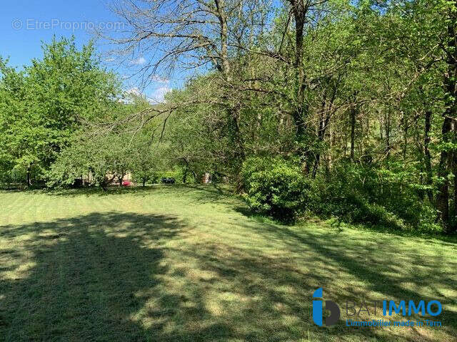 Terrain à MAZAMET