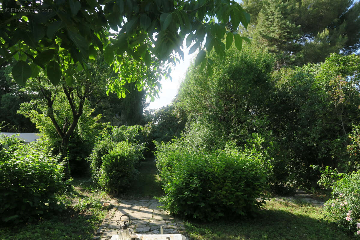 Maison à MONTPELLIER