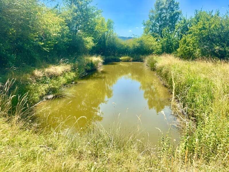 Cordelle (42) corps de ferme en pierre avec vue exceptionnel - 6.8 ha de terrain libre - dependances - photo 11