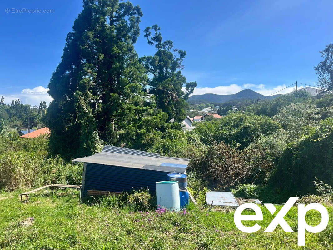 Terrain à SAINT-PIERRE