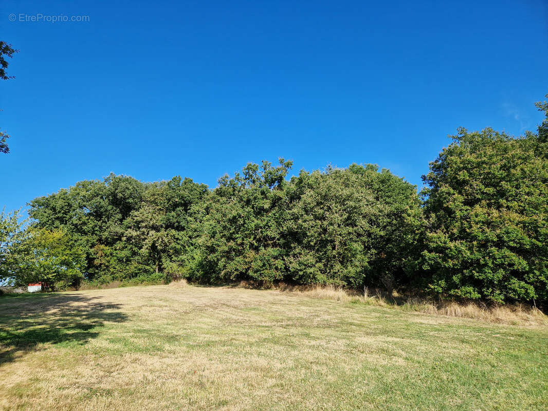 Maison à SAINT-EUTROPE-DE-BORN
