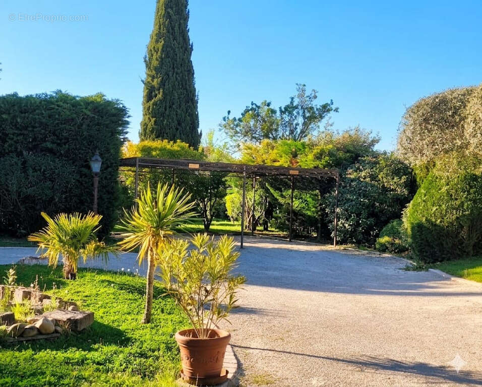 Maison à SAINT-REMY-DE-PROVENCE