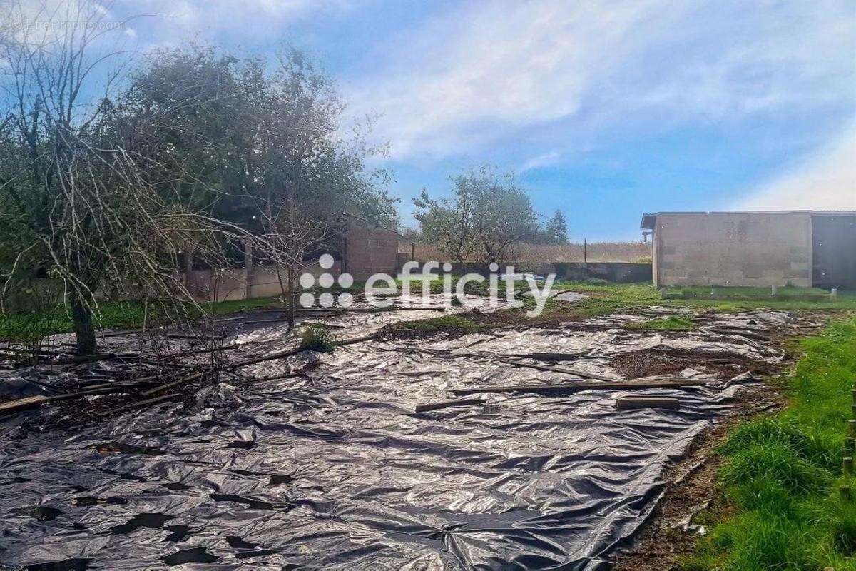 Terrain à LA REGRIPPIERE