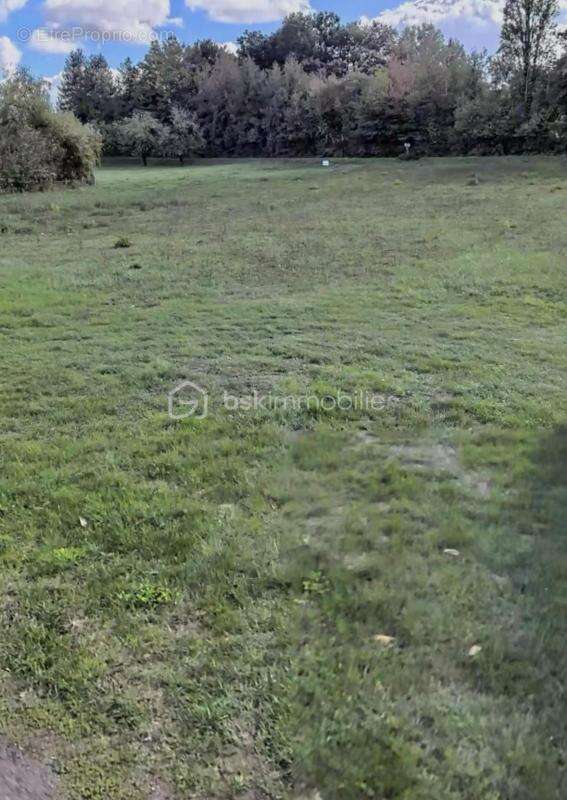 terrain constructible - photo 2