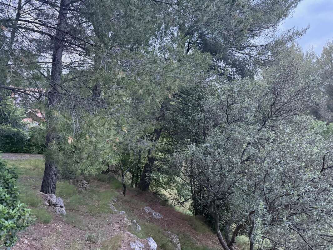 Terrain à ROQUEVAIRE