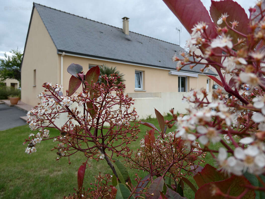 Maison à SAINT-FRAIMBAULT-DE-PRIERES