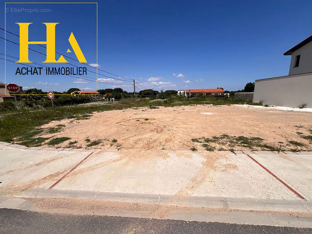 Terrain à LAROQUE-DES-ALBERES