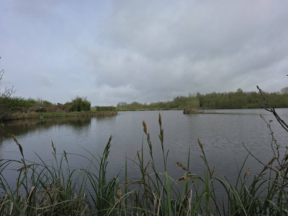 Terrain à CONDE-FOLIE