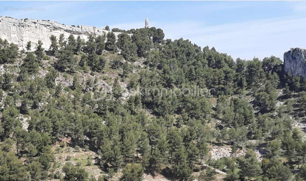 Proche du Village d'Orgon 13660 ,Votre projet , terrain constructible 222 m2 Viabilisé , Bonne Exposition , Secteur calme en ple - photo 7