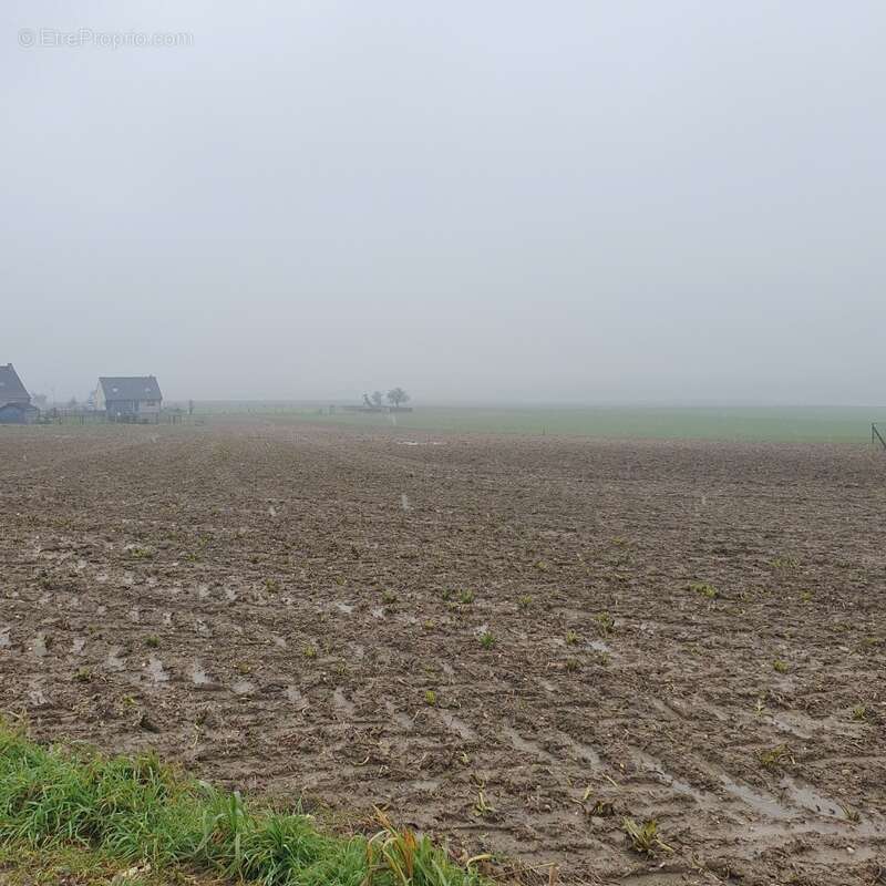 Terrain à HAUTE-AVESNES