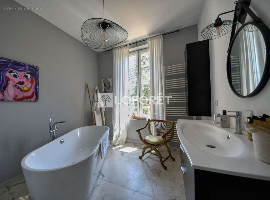Maison de maitre avec gîte et dependances a vendre a lisle-sur-tarn - photo 12