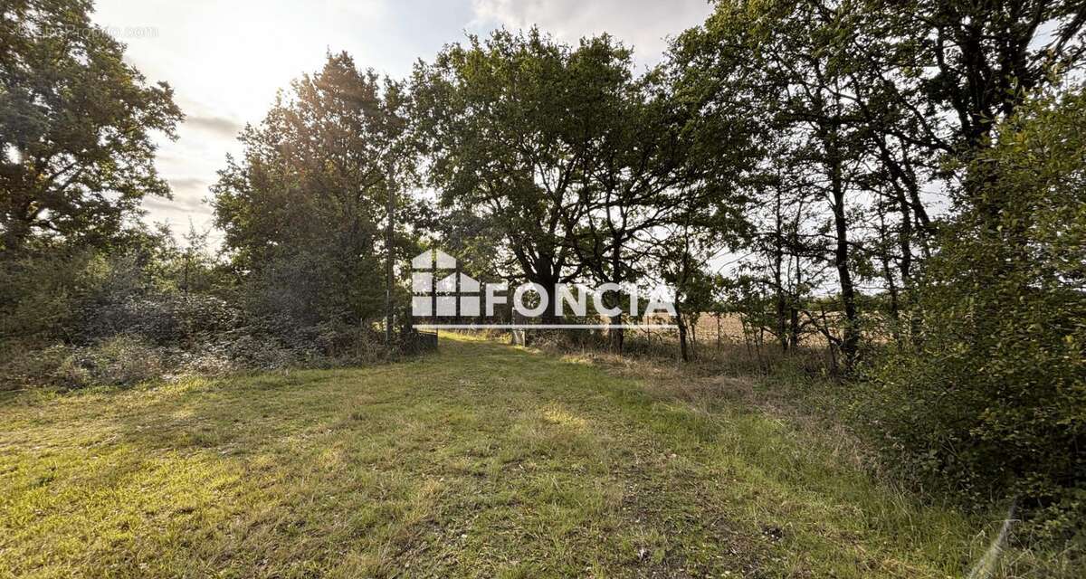 Appartement à FROIDFOND