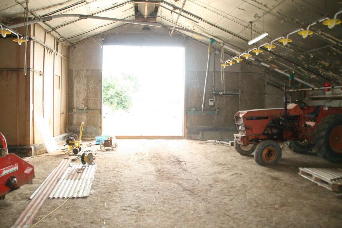 Vente Bureau-local Josselin(56120) 44 000ï¿œ - photo 5