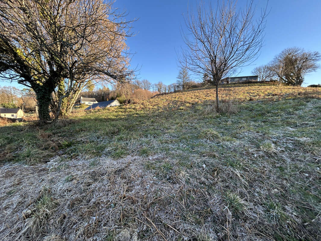 Terrain à SAINT-MEXANT