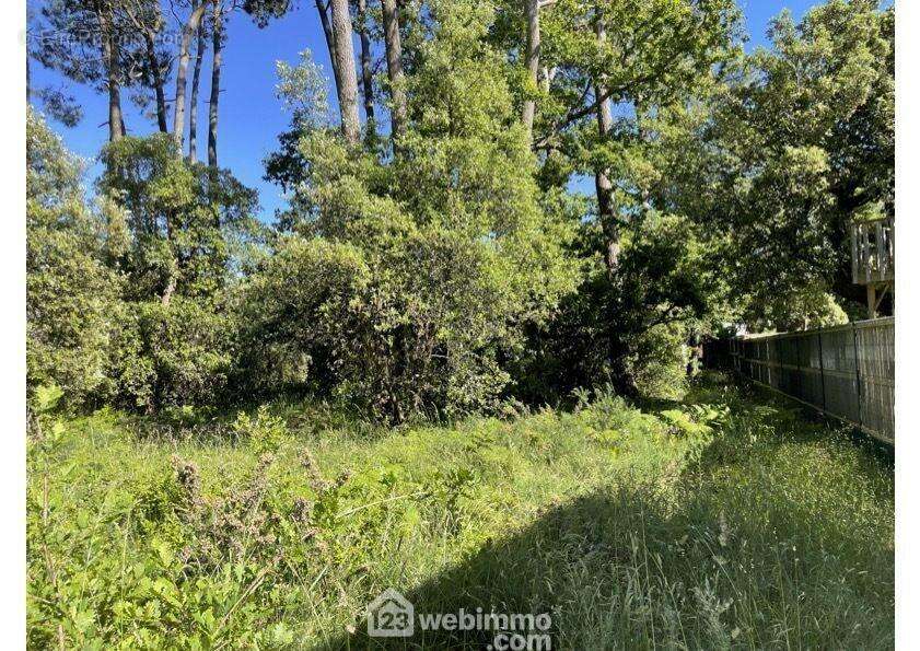 A proximité de la foret domaniale. - Terrain à JARD-SUR-MER