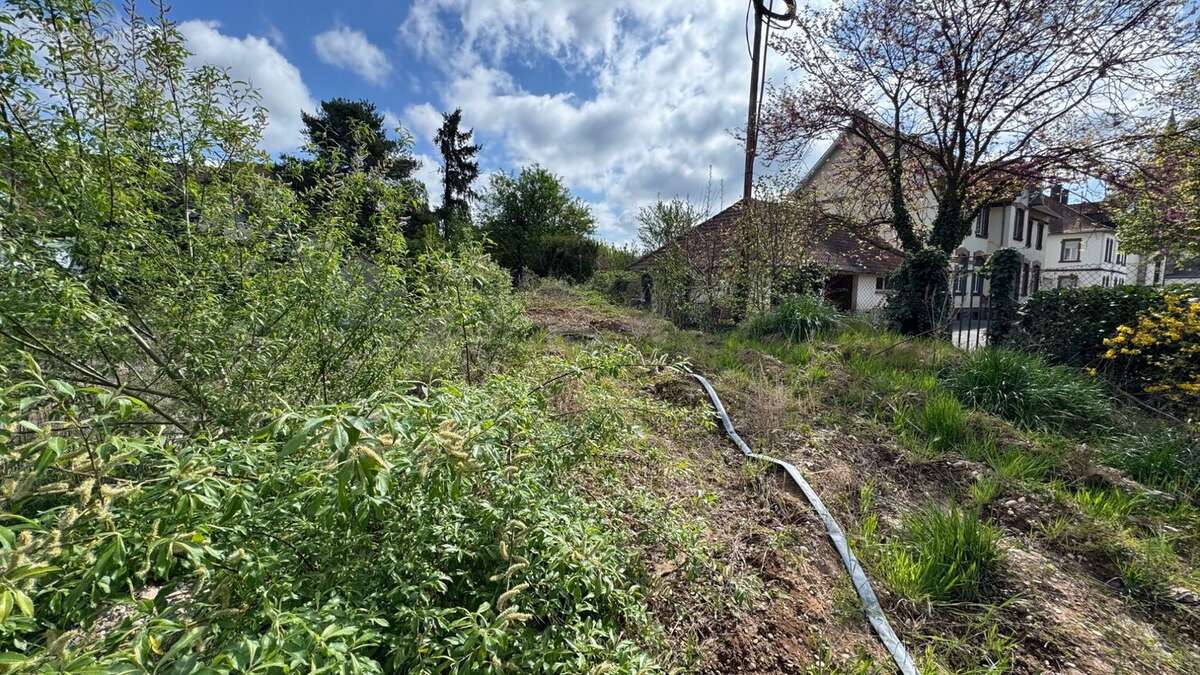 Terrain à LINGOLSHEIM