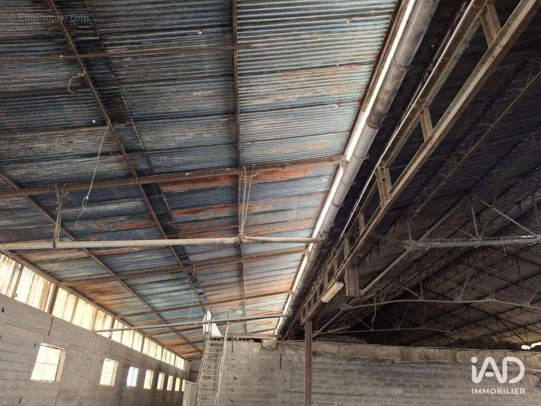 Photo 7 - Commerce à SAINT-NICOLAS-DE-LA-GRAVE