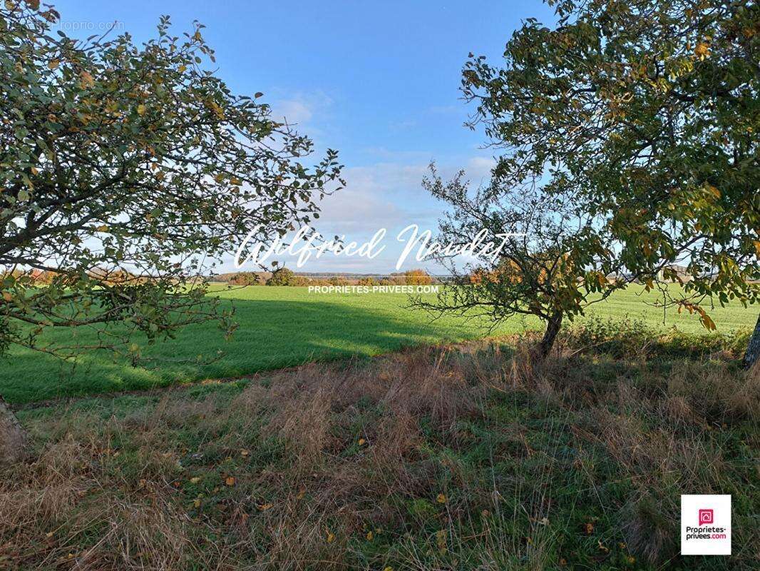 Maison à SAINT-VINCENT-DU-LOROUER