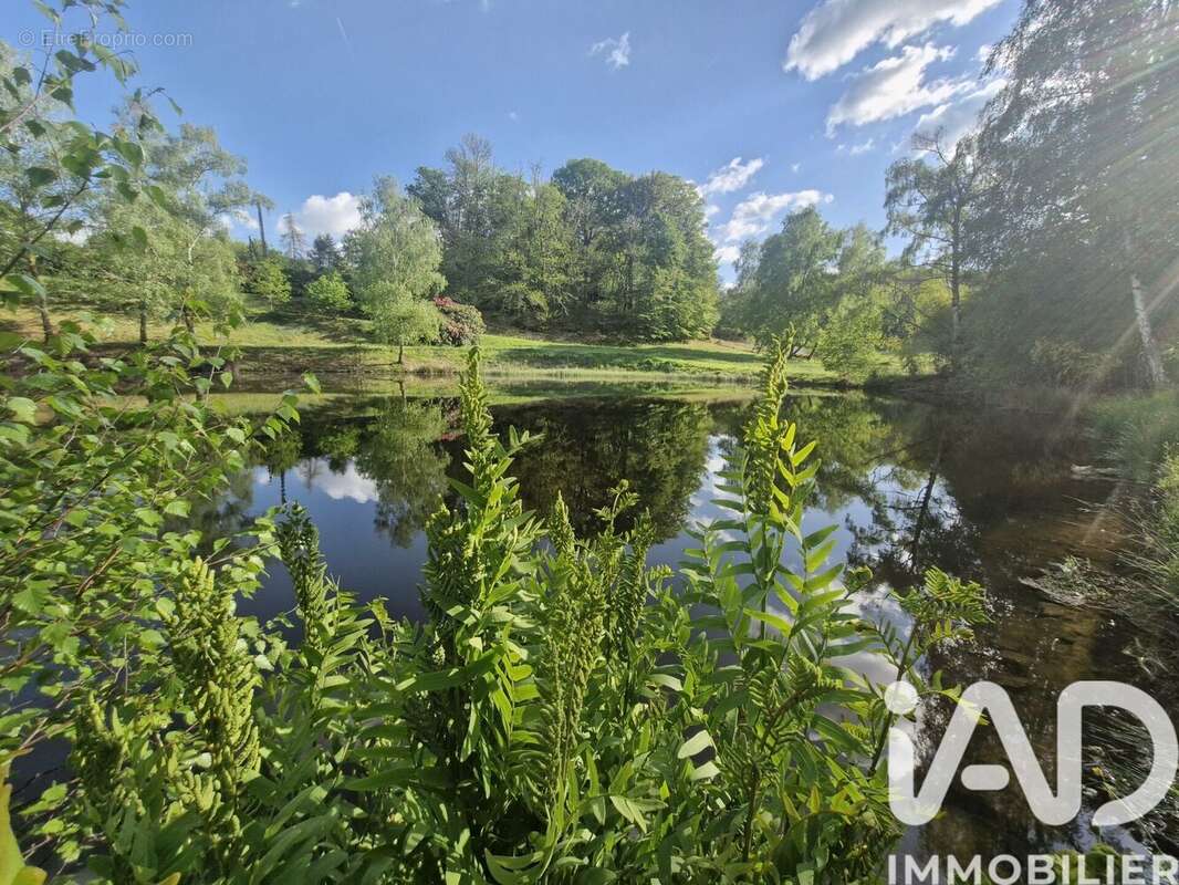 Photo 2 - Terrain à COGNAC-LA-FORET