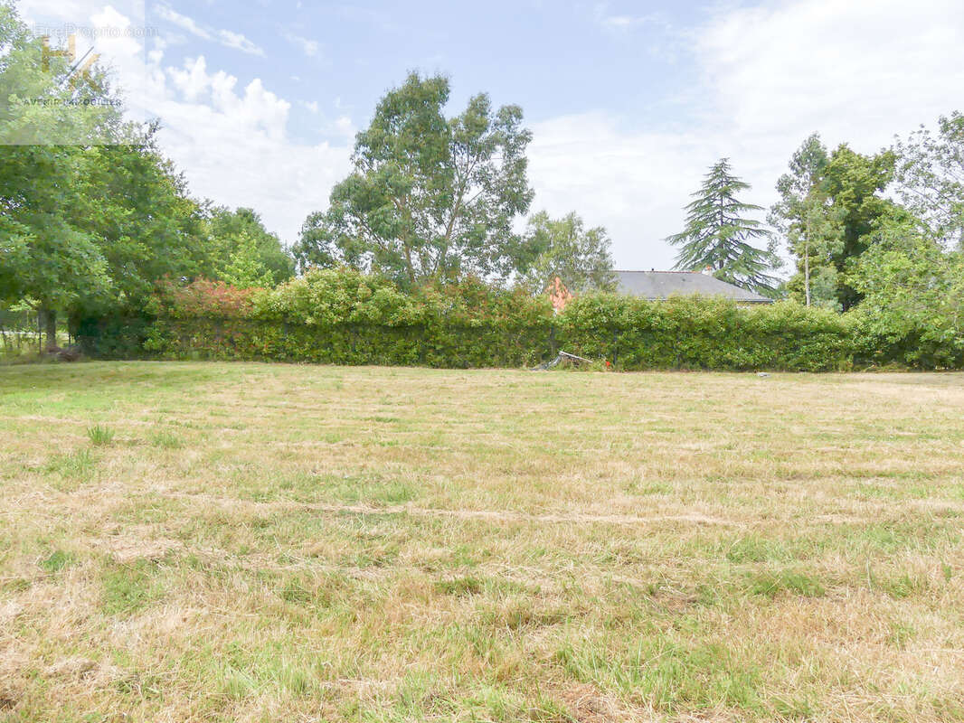 Terrain constructible - photo 3