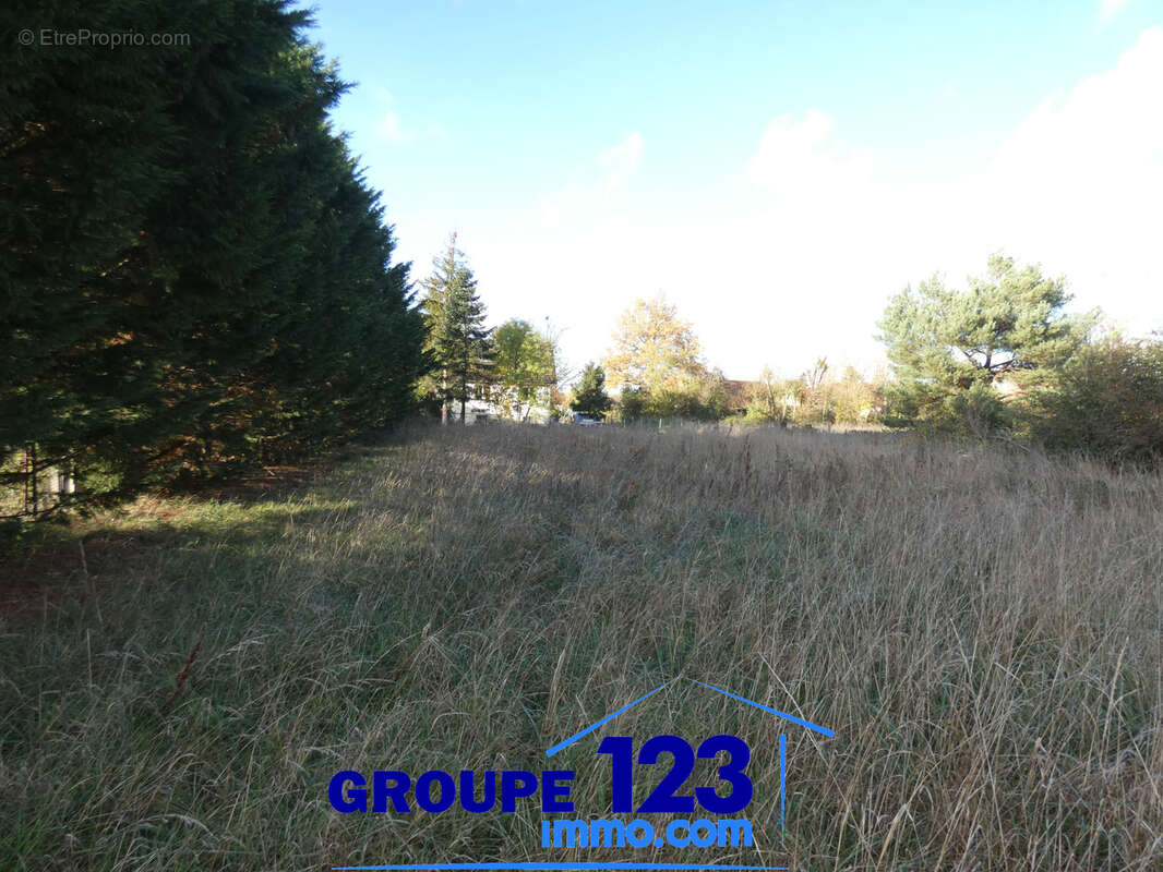 Terrain constructible - photo 4