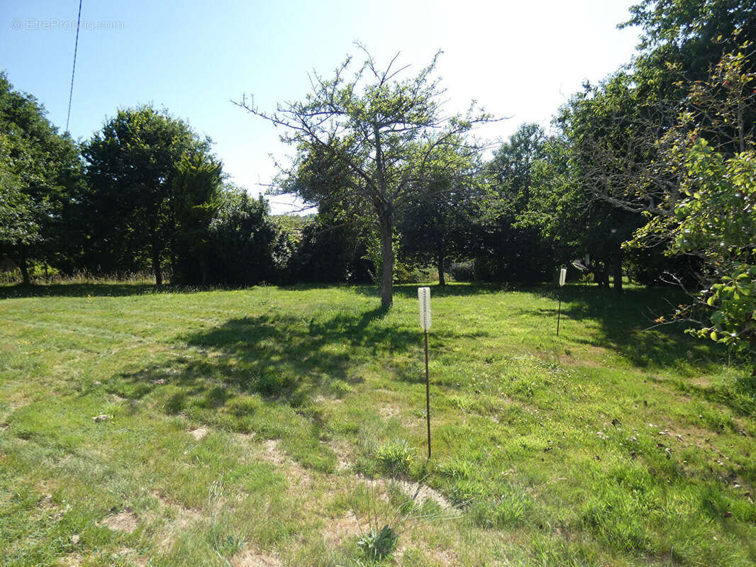 Le mesnillard - photo 11