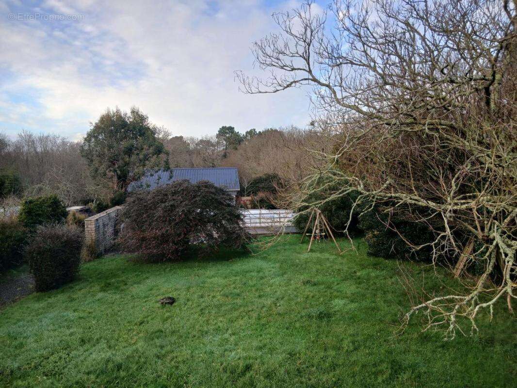 Propriété - photo 25