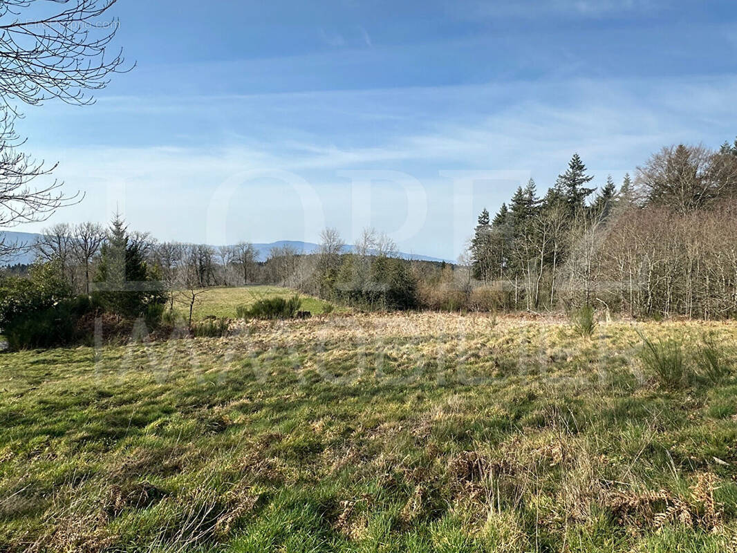 Terrain à LE VINTROU