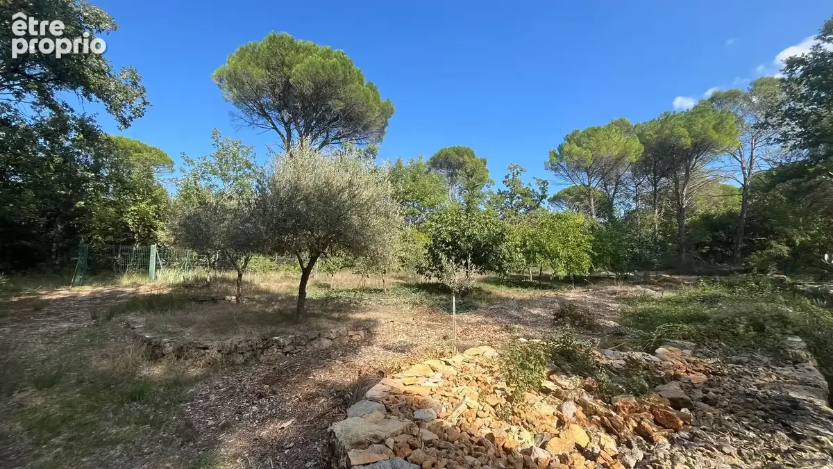 Maison T5 avec garage et piscine - Havre de paix et de nature sur près d'1 hectare - photo 13
