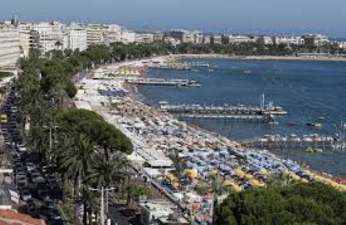 Commerce à CANNES