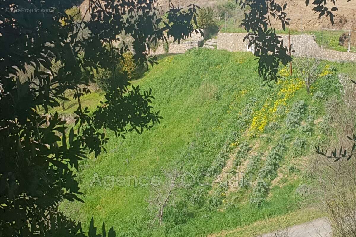 Terrain à LE CANNET