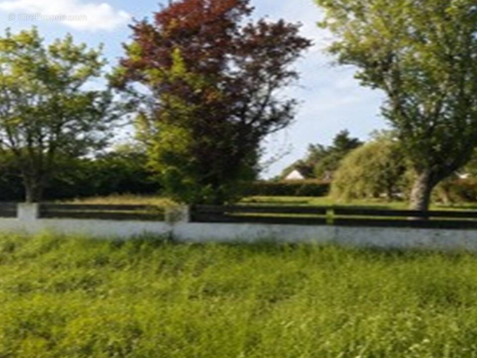 Terrain à PERISSAC