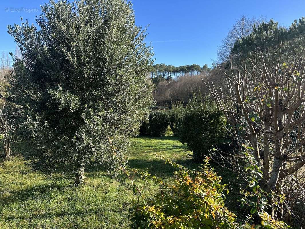 Photo 2 - Terrain à LEVIGNACQ