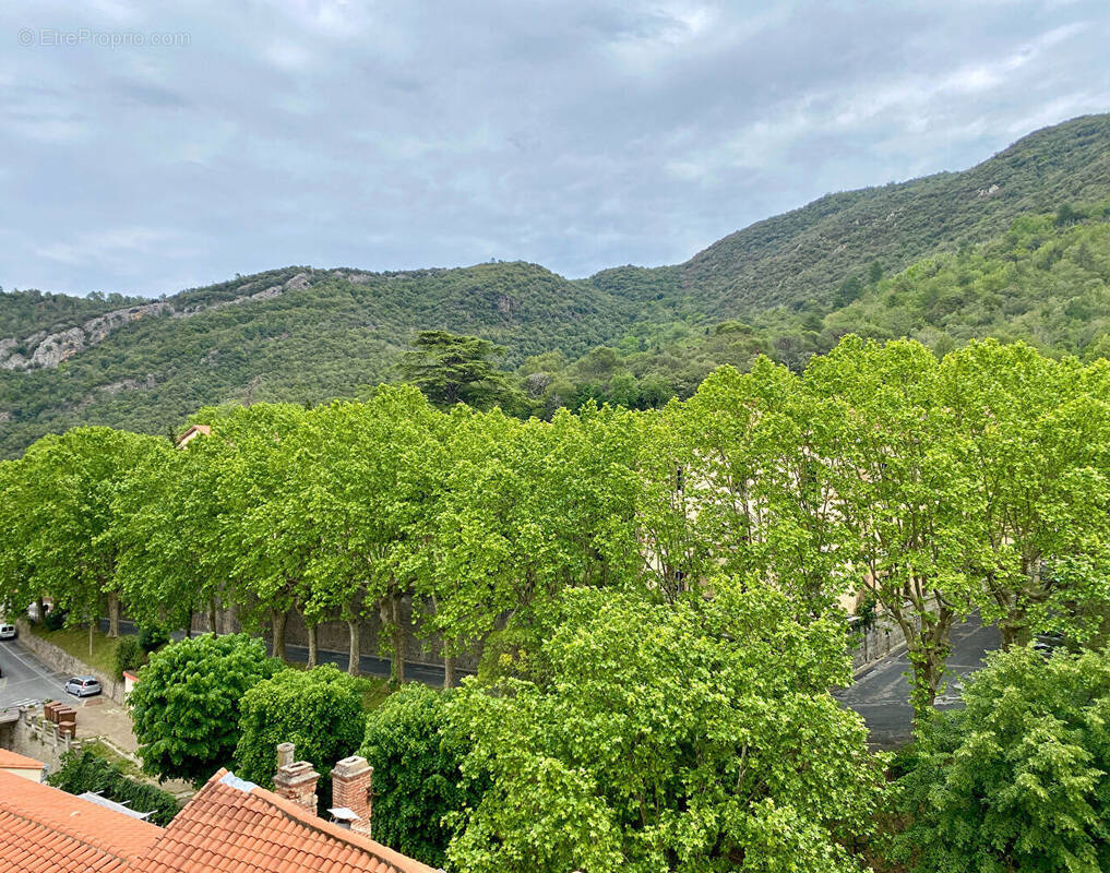 Appartement à AMELIE-LES-BAINS-PALALDA