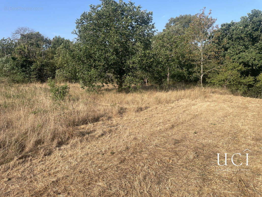Terrain 881 m² à Corcoue-Sur-Logne  - photo 2