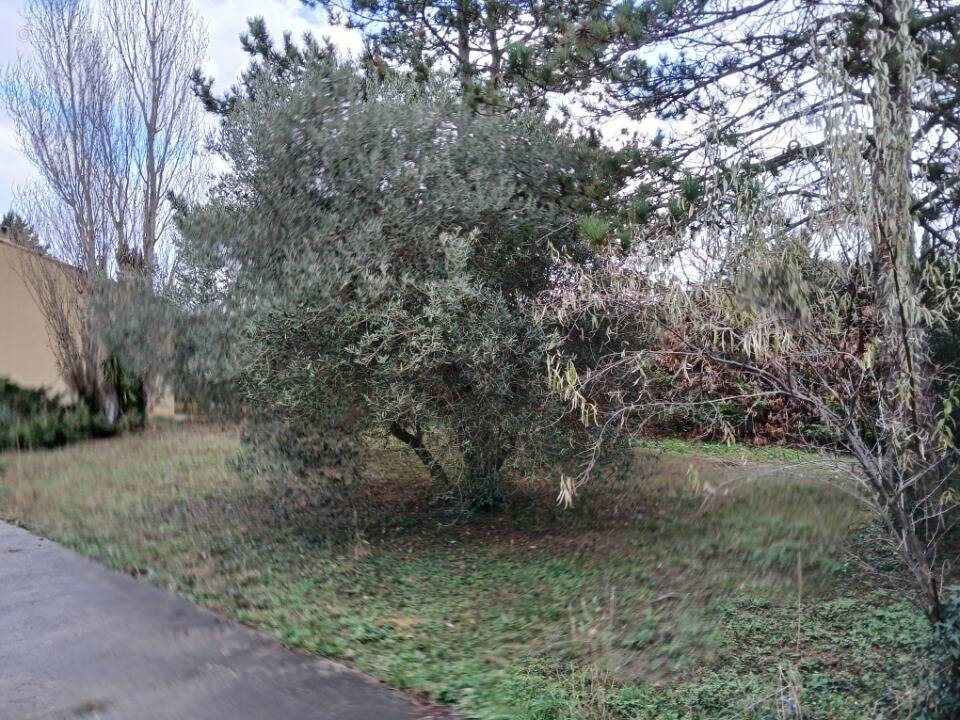 Terrain à MARSILLARGUES